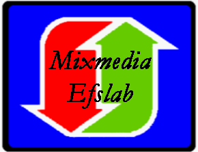 Logo Mix EFS